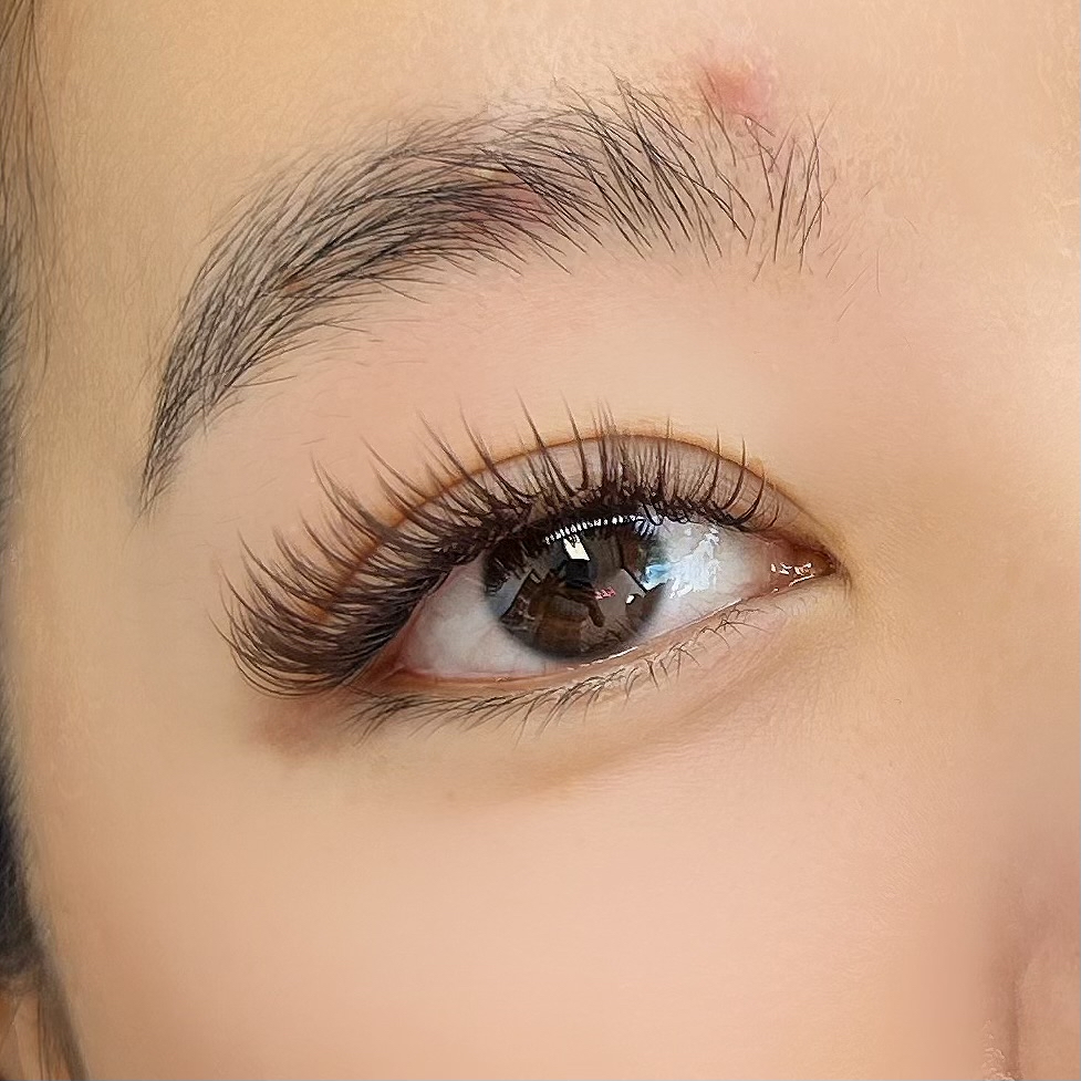 Dark Brown Volume Full Set