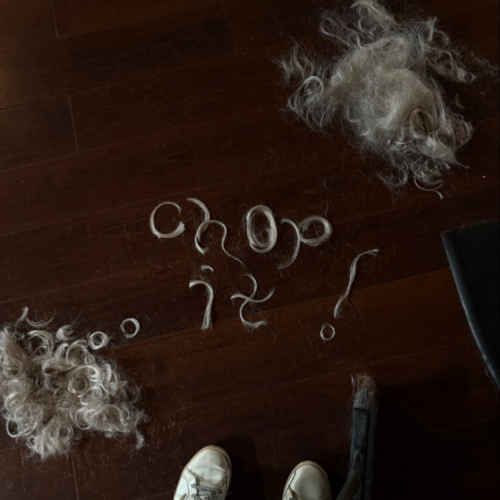 Women’s Dry Haircut at Abby Rhea Beauty in Greensboro, NC