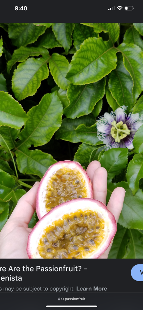 Passionfruit Facial