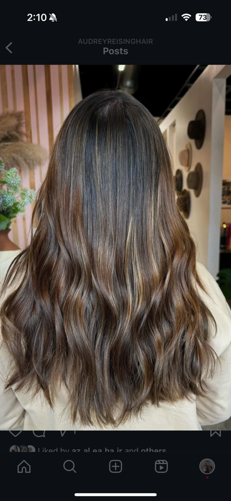 Root Retouch & Highlight