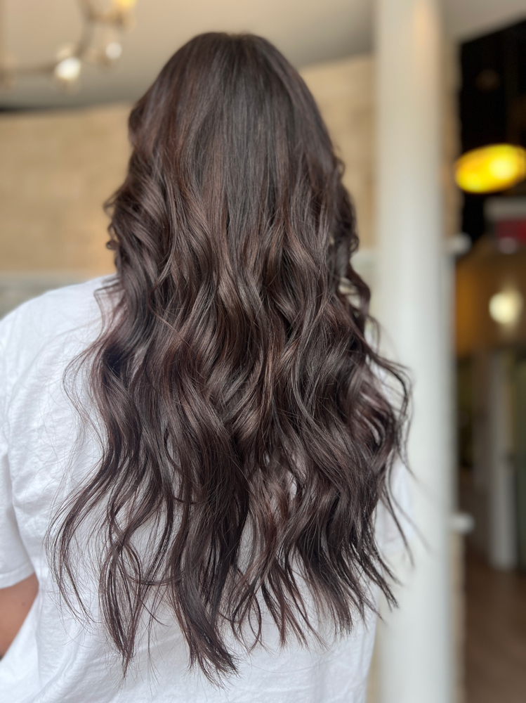 All Over Color at Dream Hair Studio in Lakeland, FL