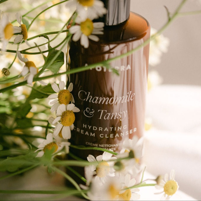 The Herbalist- Barrier Repair at Face Food Natural Skincare in Newburyport, MA