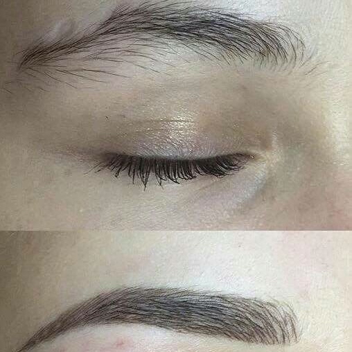 Brow Tint +Wax