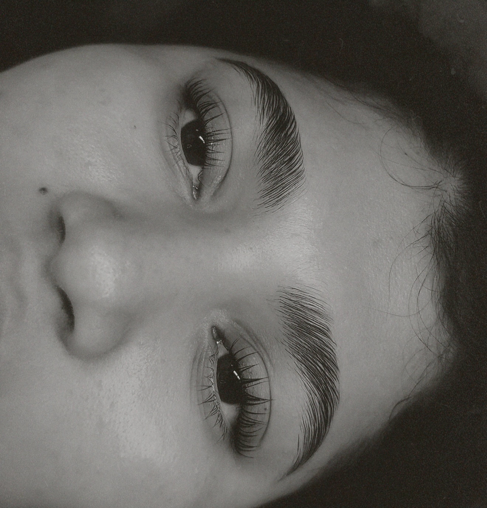 Brow Lamination with Tint