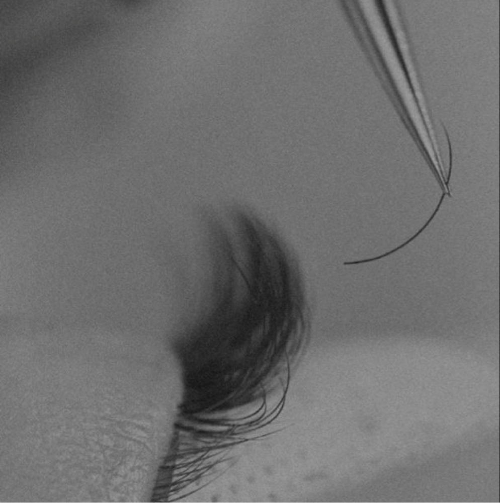 SALON TRANSFER LASH REFILL at Tandem Lash Society in Saint Petersburg, FL