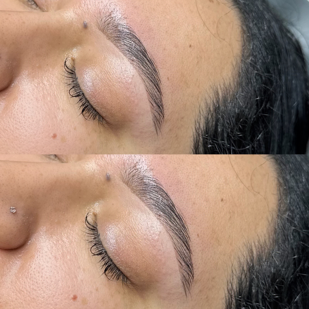 Brows ( Maintenance Only )