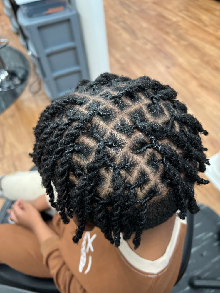 2 Strand Twist (Style Only Locs)