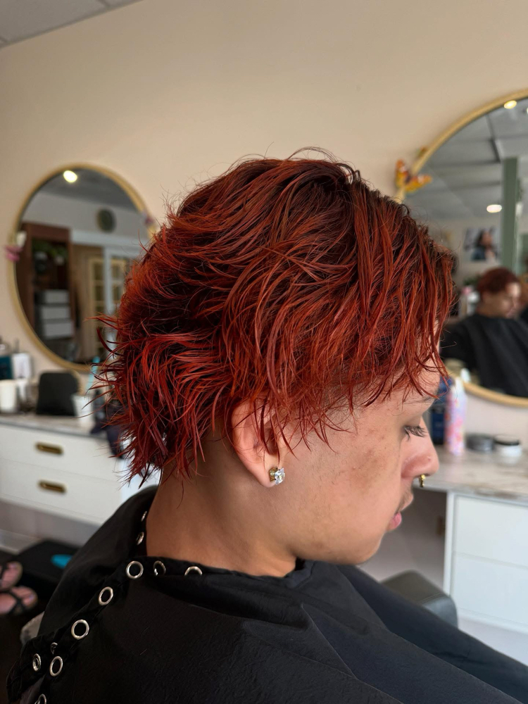 Clipper/Barber-Style (Short)Haircut