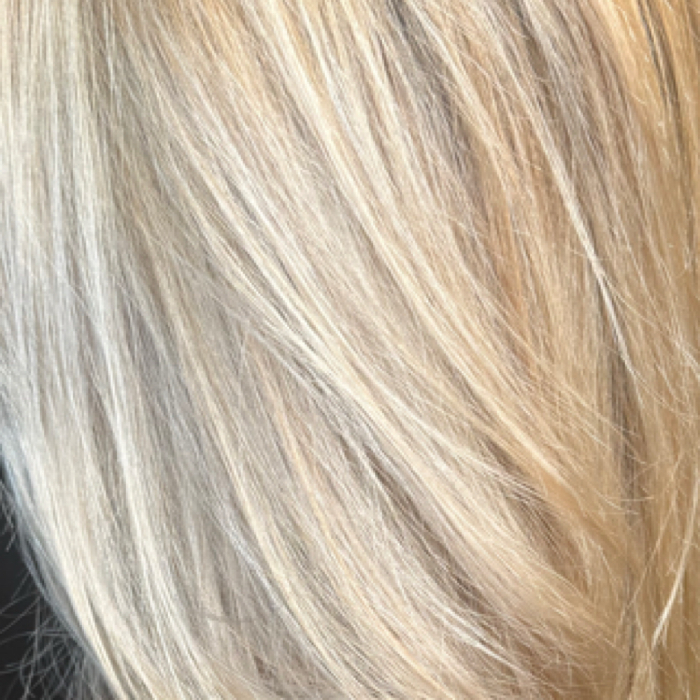 Crown Highlight at Brianne Rae Styles in Smithtown My, NY