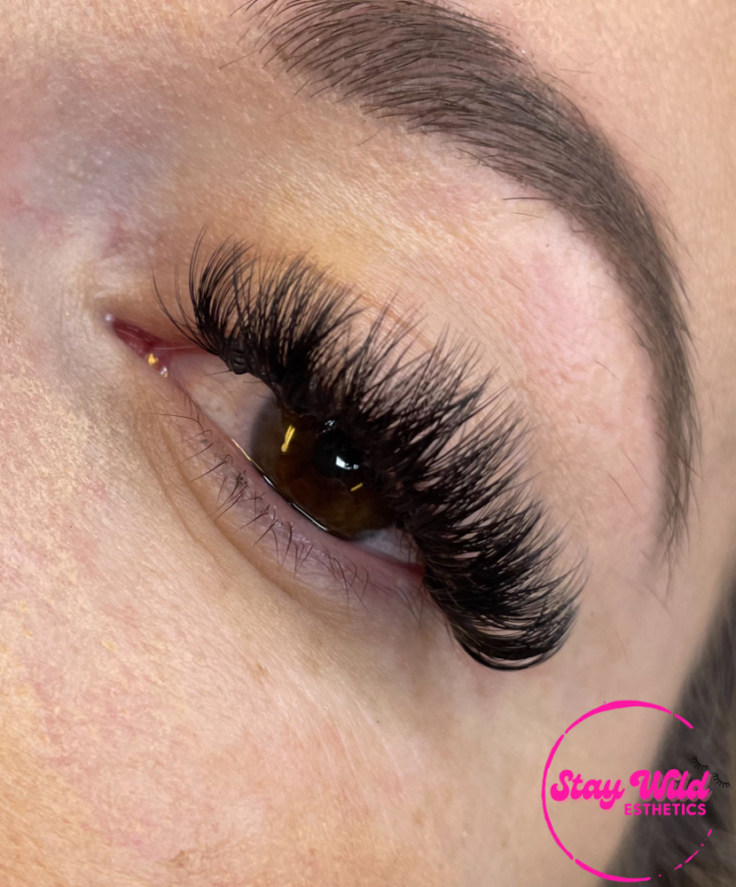 2 Wk Lash Fill