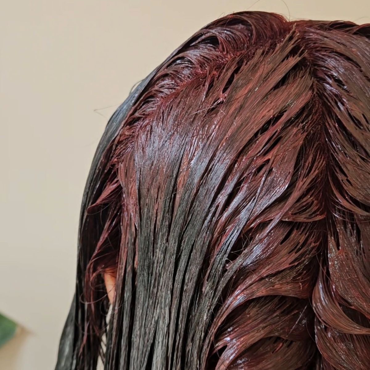 All-Over Refresh at Elegance Salon in Aberdeen, SD