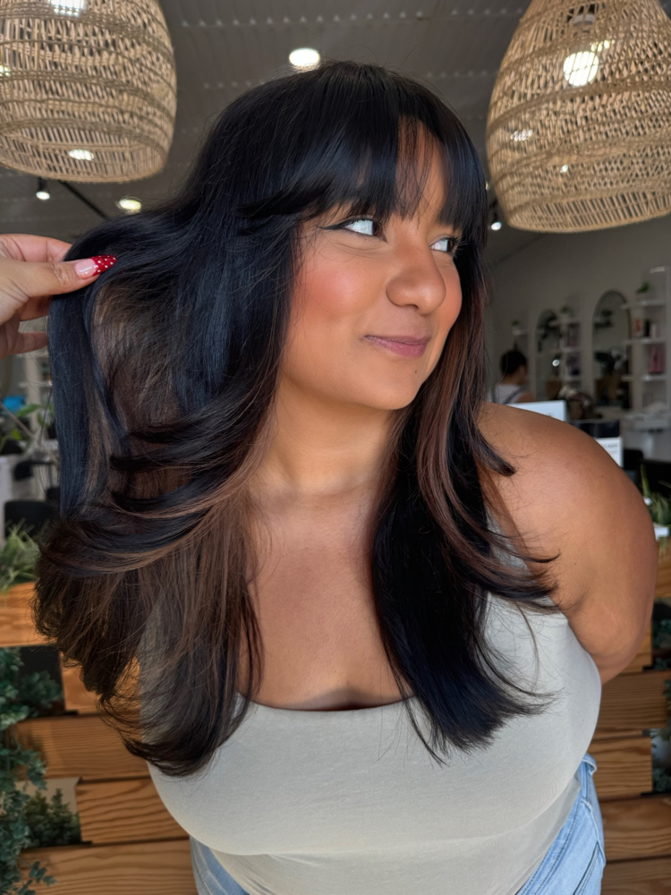 Dry Cutting (no Wash And Blowdry)