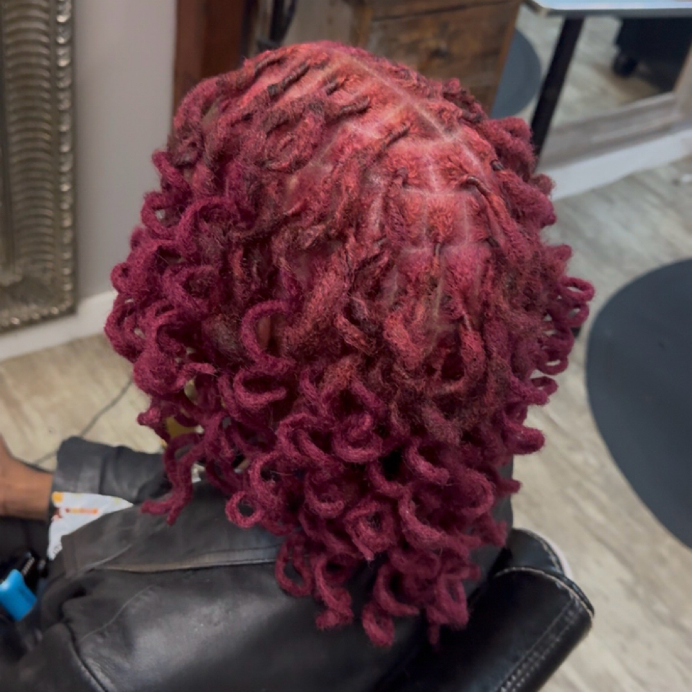 Locs Curler Set Style at Ultra Touch in Cleveland, OH