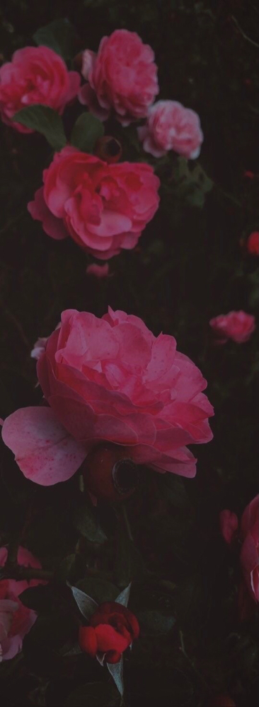 Oxygentating Facial at Kyrie Cecil Esthetics in Tucson, AZ