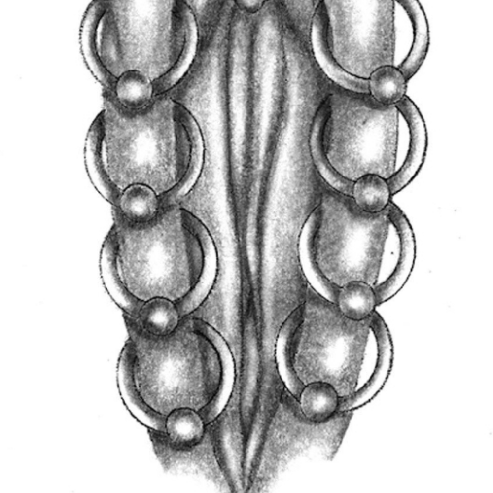 Female Exotic Labia(1) at Piercings By Autumn in New Castle, PA