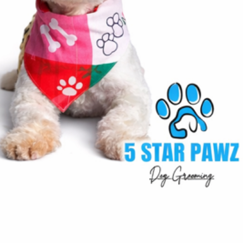 Nail trim at 5 Star Pawz Llc in cartersville, GA