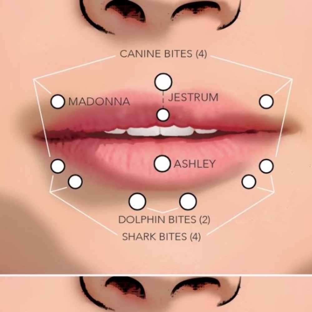 (One) Side Lip at Piercings By Autumn in New Castle, PA