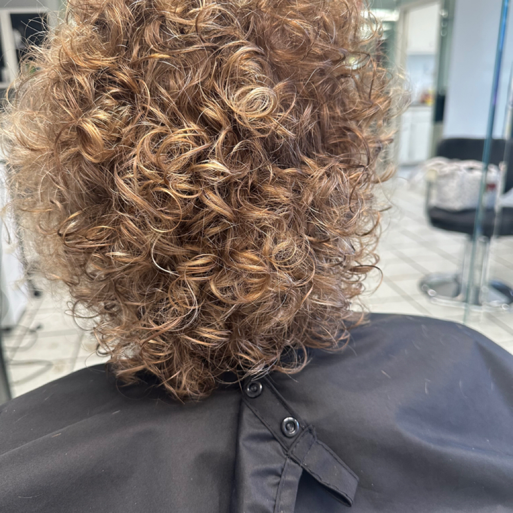 Curly Cut- Dry at Holy Hair by Jay in Dothan, AL
