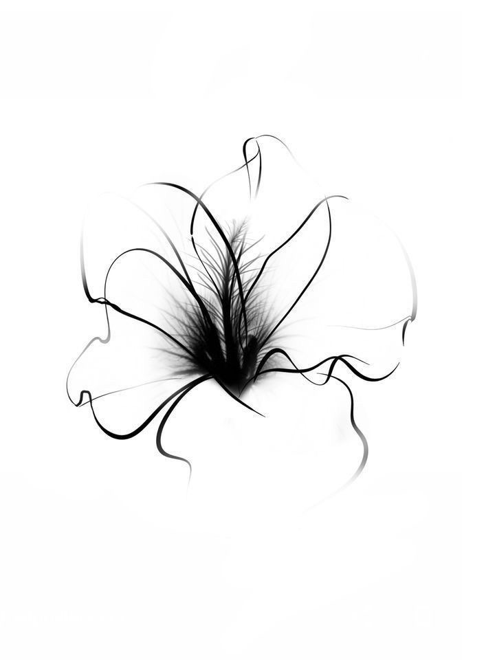 Lash Removal at 444 Studio in Dearborn Heights, MI