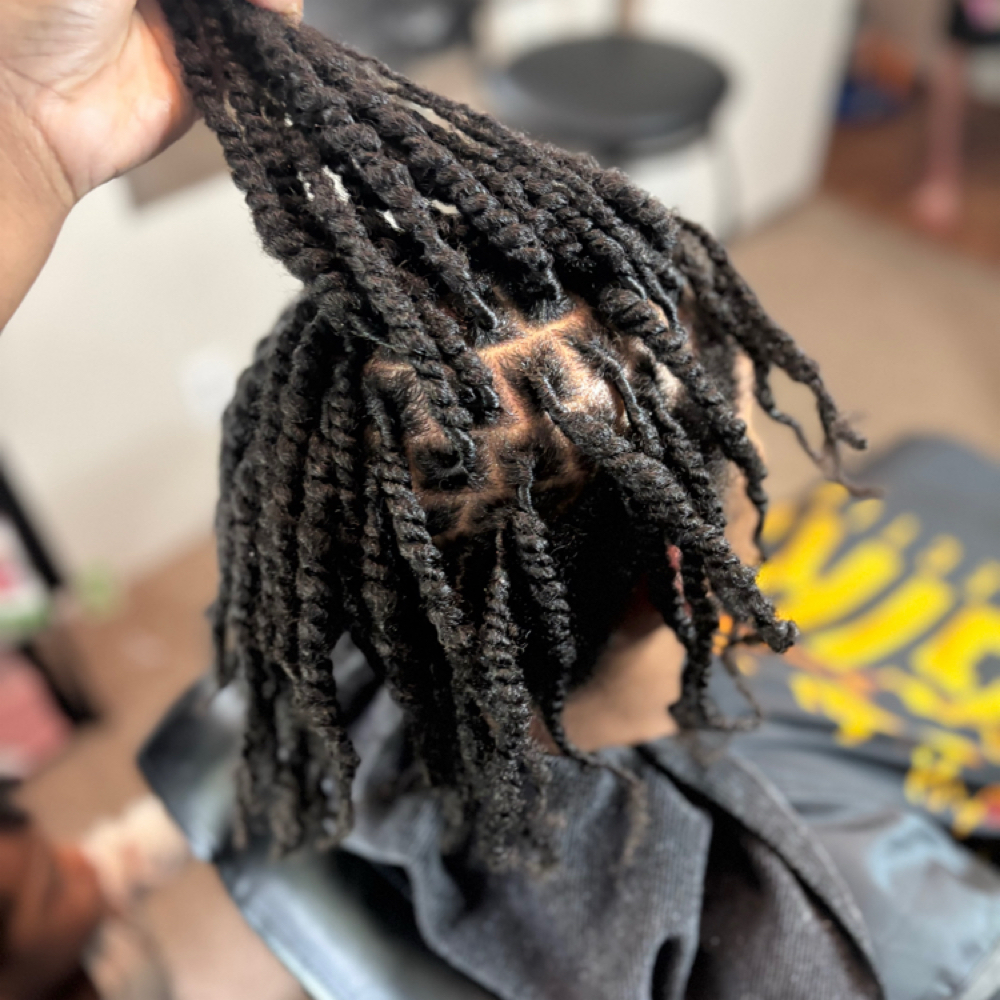Natural Hair Two-Strand Twists ✨ at The Island Girl Collection LLC in hinesville, GA
