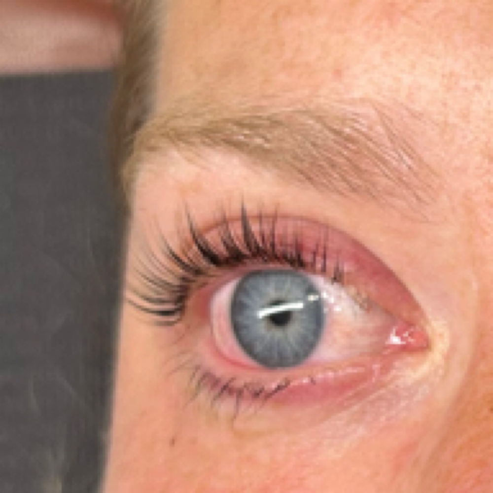 Korean Lash Lift + Tint at Lashes By Kailey in San Ramon, CA