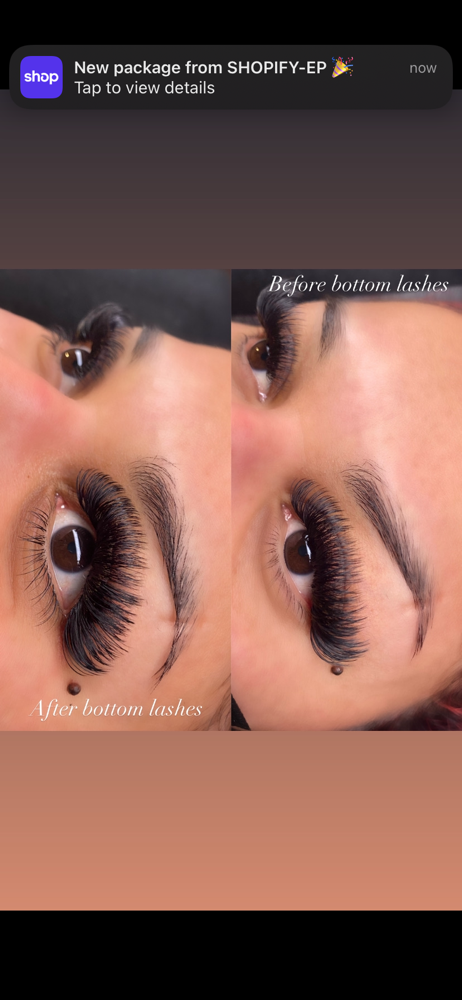 Bottom Lashes