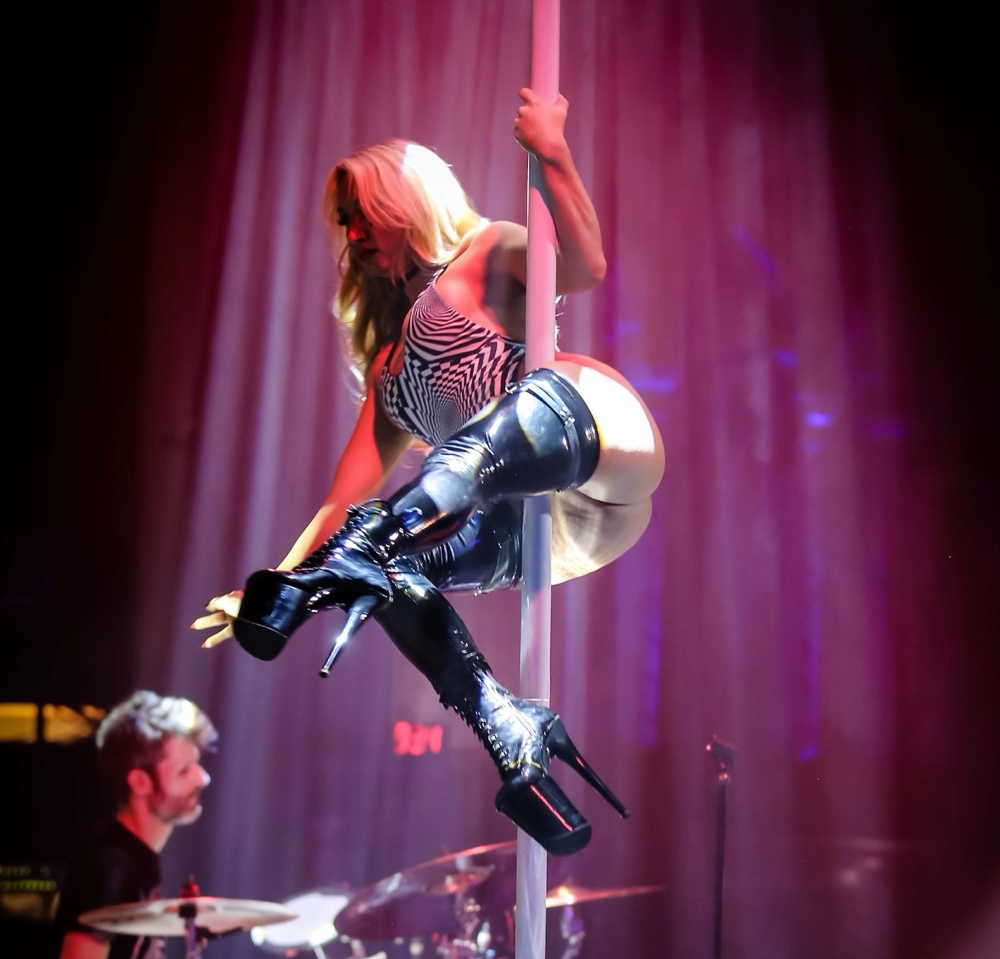 Sultry Cirque Pole ✴️ (No Fire)