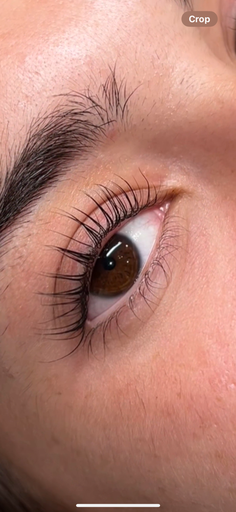KOREAN LASH LIFT & TINT at BROWTIQUE BY LUISA in West Palm Beach, FL