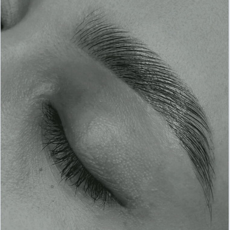 MODEL CLIENT BROW WAX + TINT