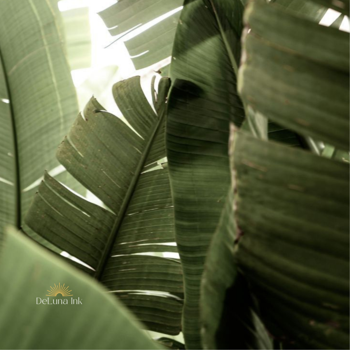 Full Day at DeLuna Ink in Ponte Vedra Beach, FL