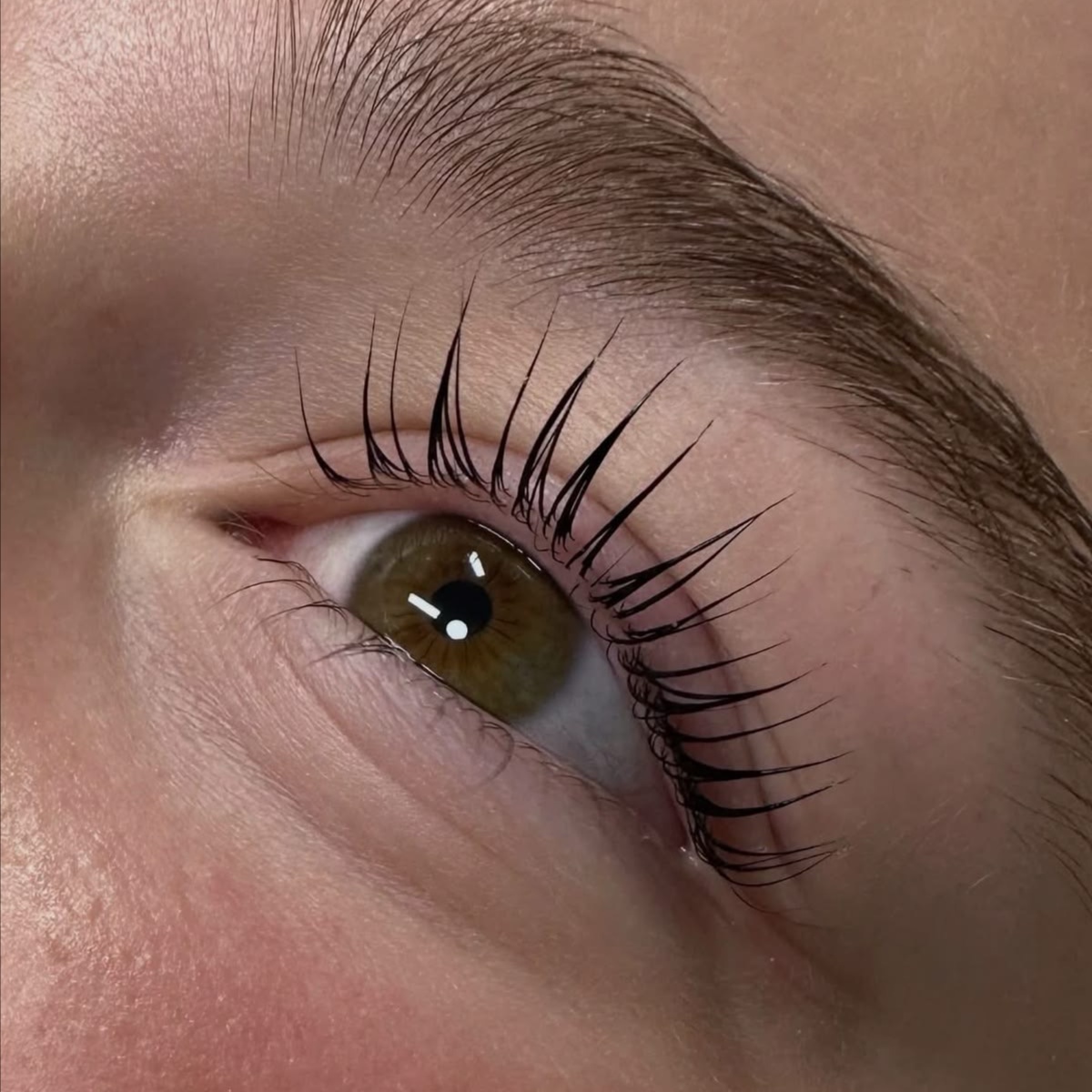 Lash Tint at Pretty Little Pores in San Antonio, TX
