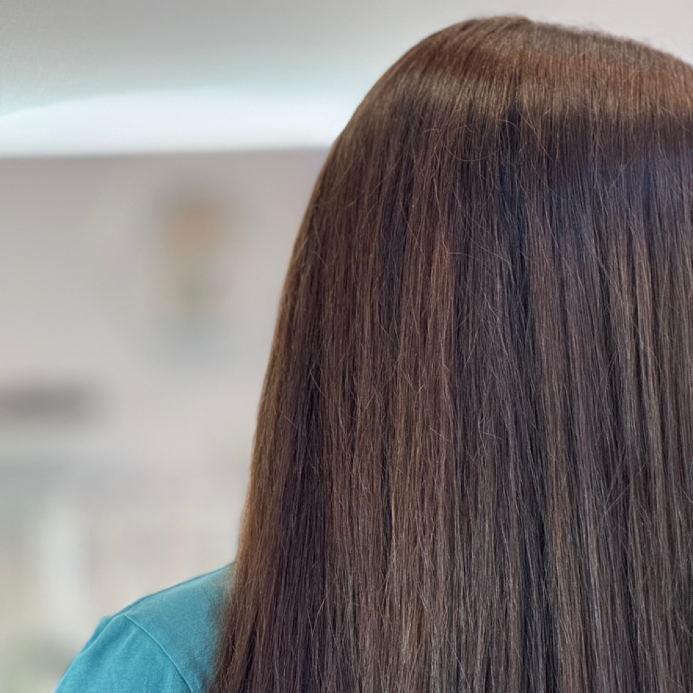 Root Refresh & Signature Haircut