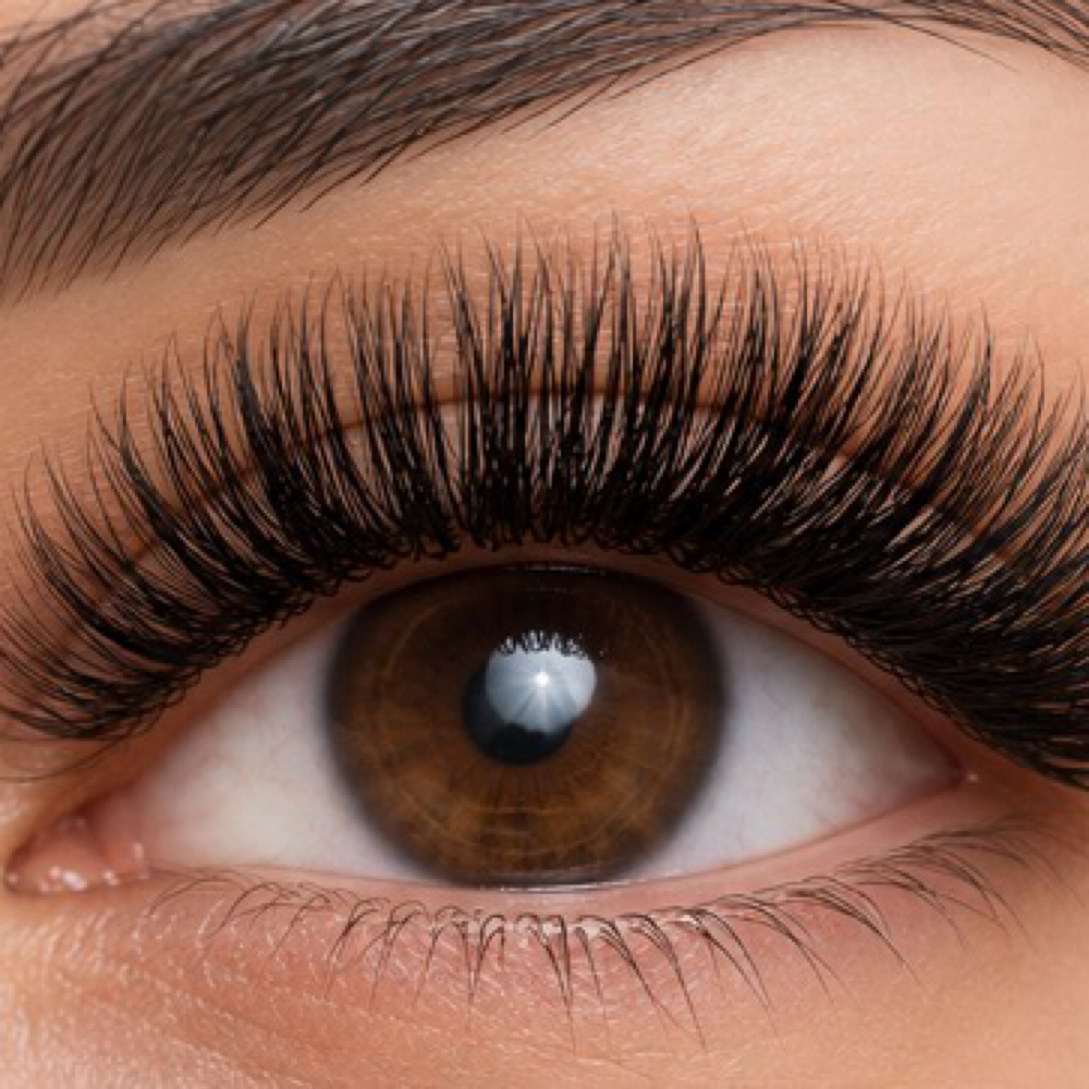 Mega Volume 2 week refill at Tel’s Beauty Spa in Richmond, TX