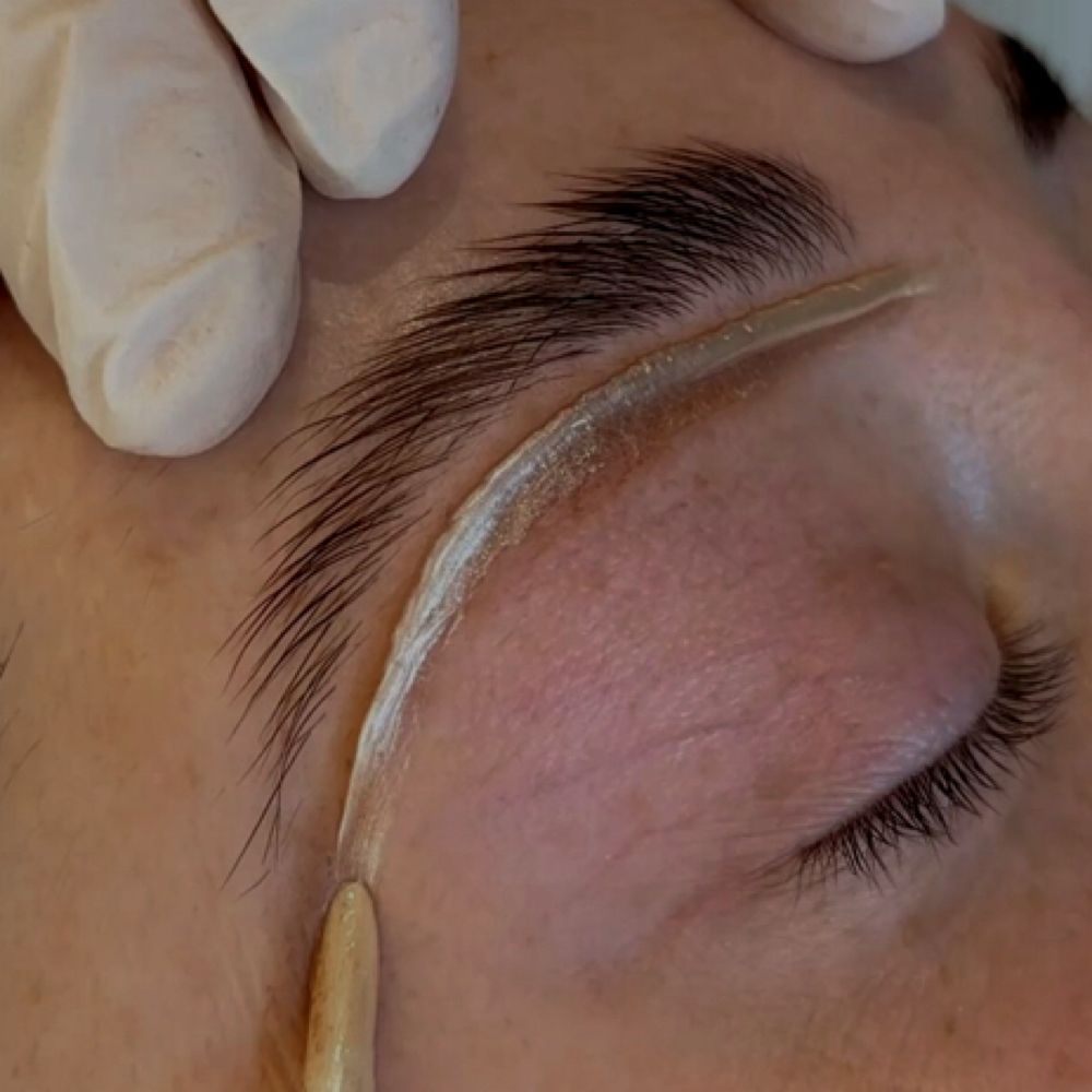 Brow Wax at Ems Esthetics in Jerseyville, IL