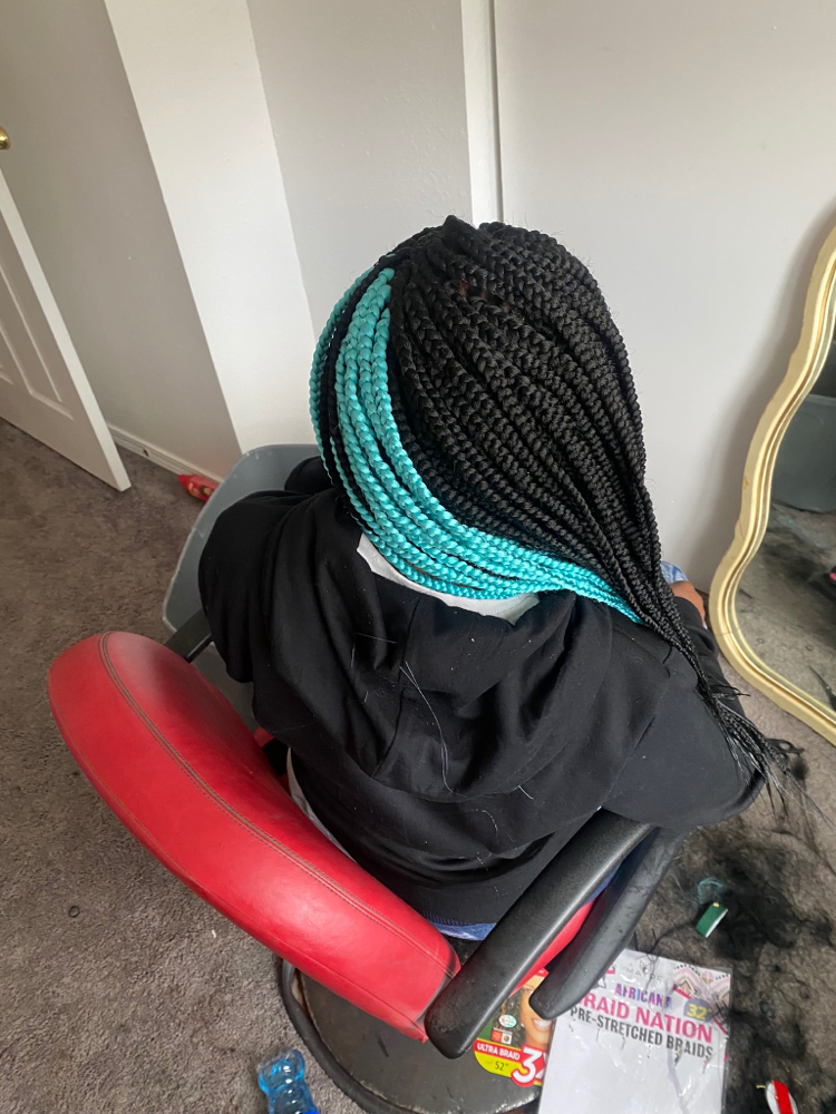 Small Mid Back Box Braids