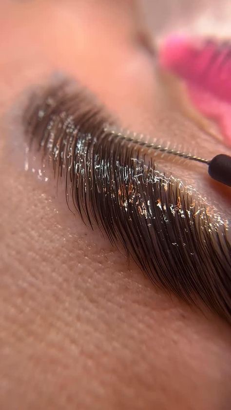 Brow Lamination, Shaping, and Tint at Inked Beauty By Marina in Gustine, CA