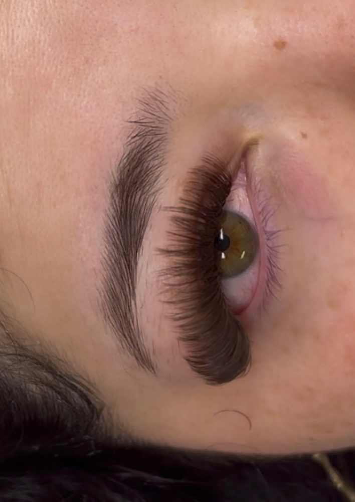 Brown Lash Fill