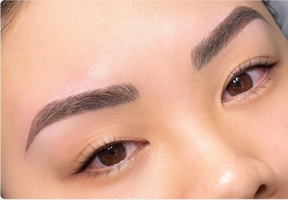 6 Week Pmu Touch Up Brows/Liner