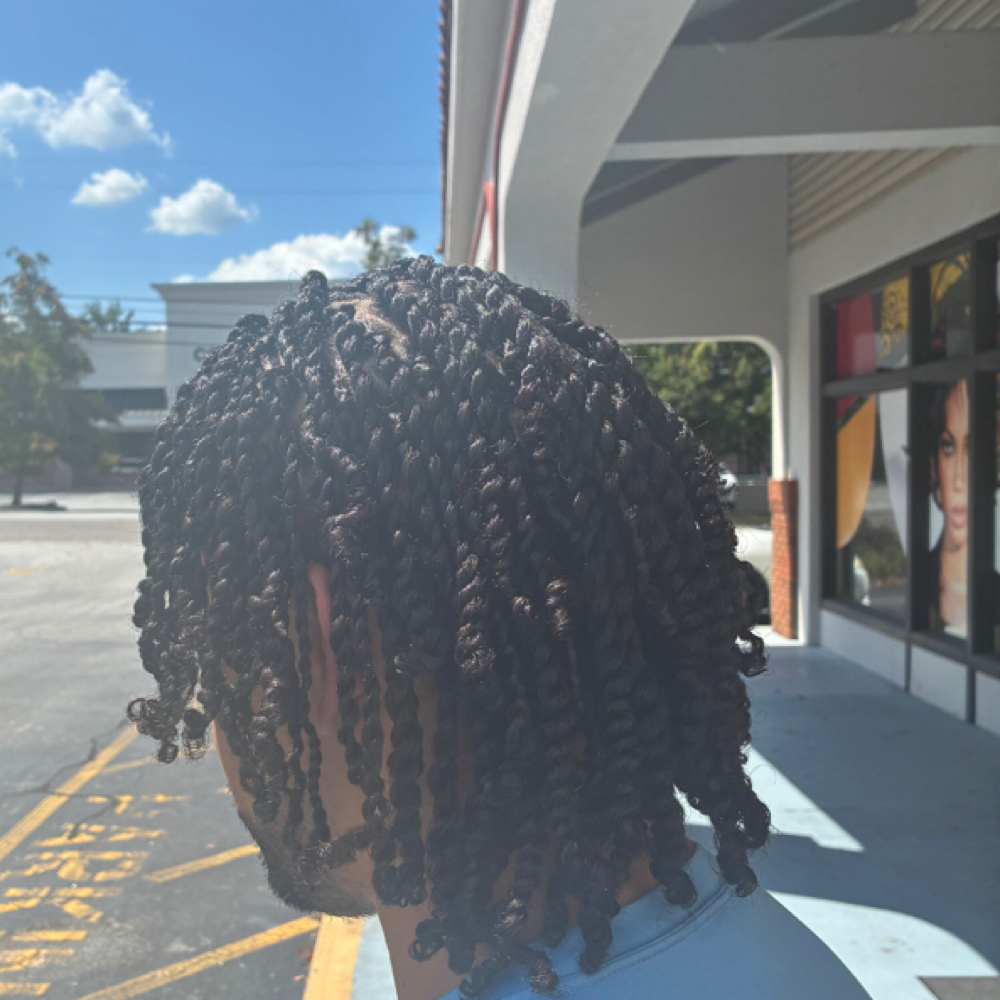 Natural Hair Braids or Twists at C’s Natural Hair Studio in Augusta, GA