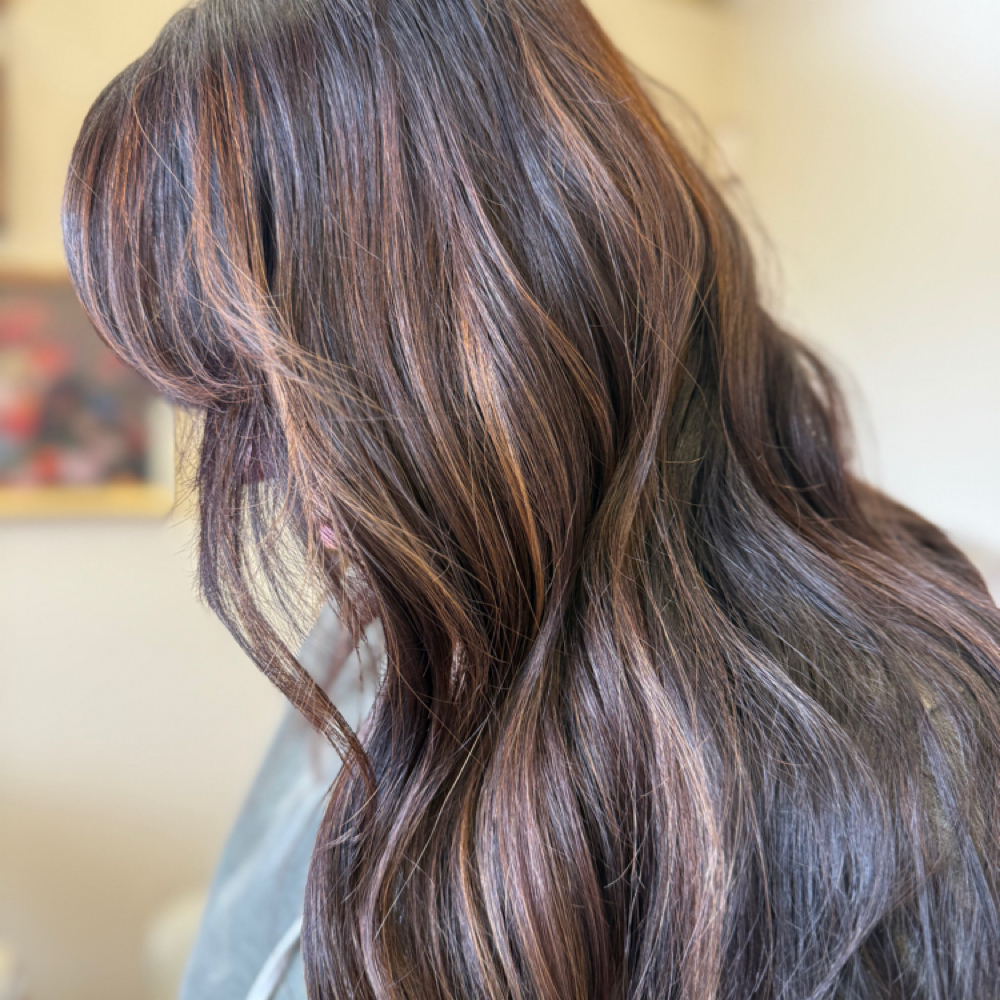 Lived In Color at yellowdaisiesinherhair in Fremont, CA