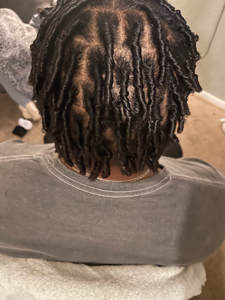 Starter Locs
