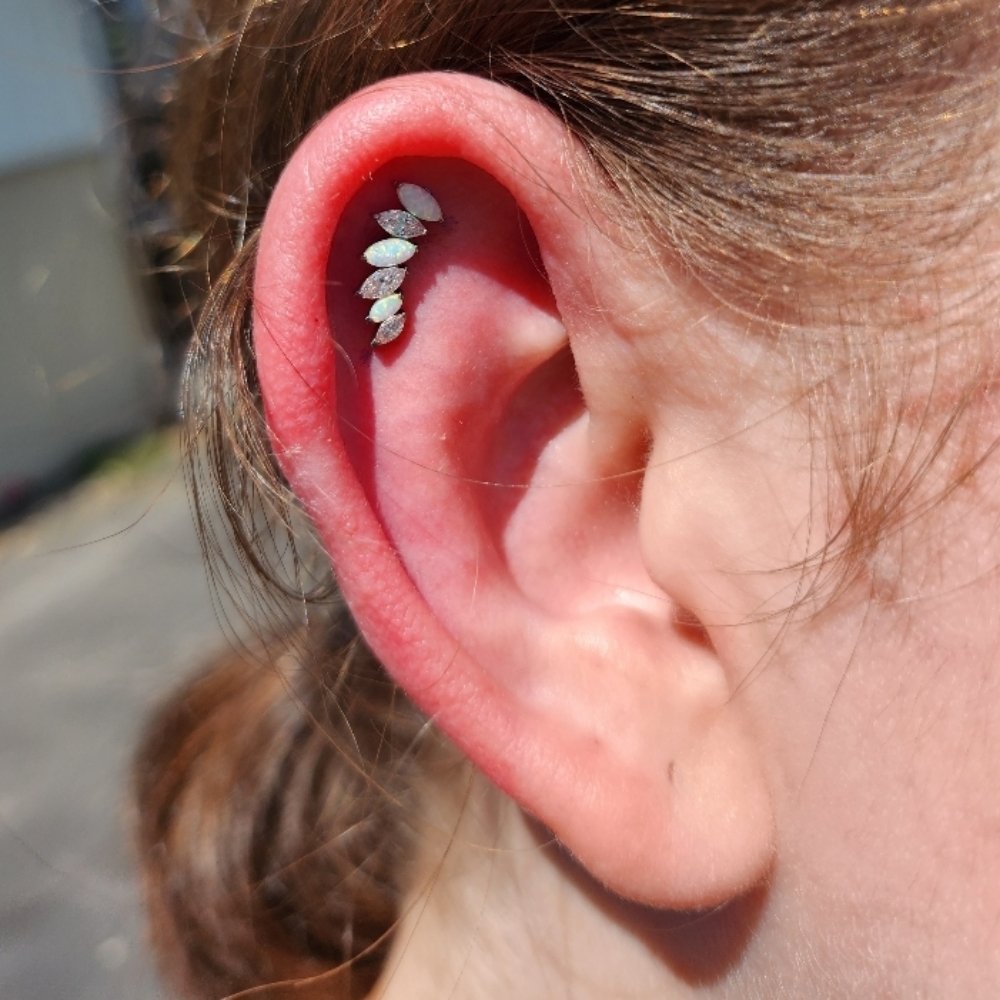 Flat Piercing at Sagrado Salon and Skin in Richland, WA