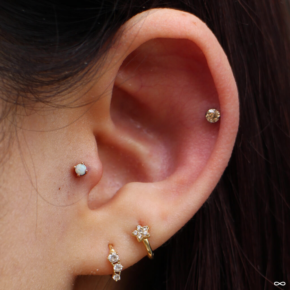 Tragus at Chanti’s Beauty Loft in NC, NC