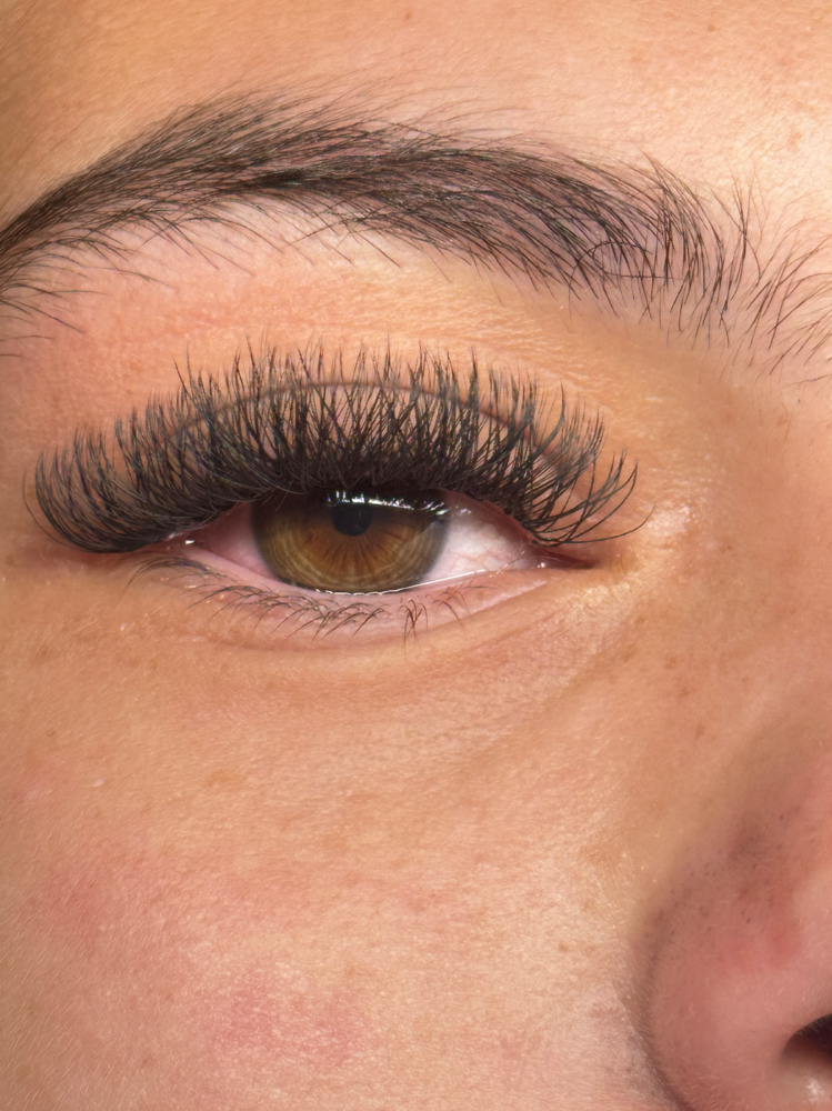Lash Extensions(Open Eye) at Lash Muse by Lily in Tampa, FL