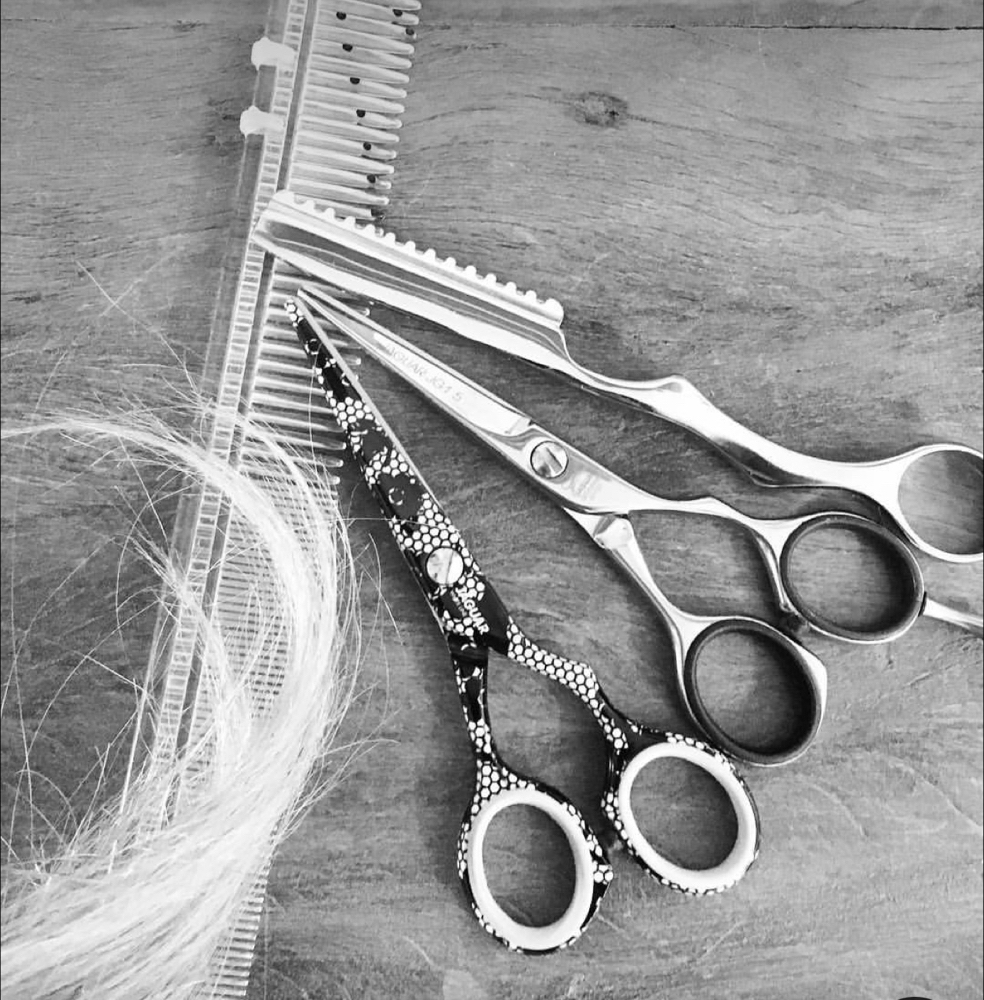Hair Cut/ Trim With Any Chemical