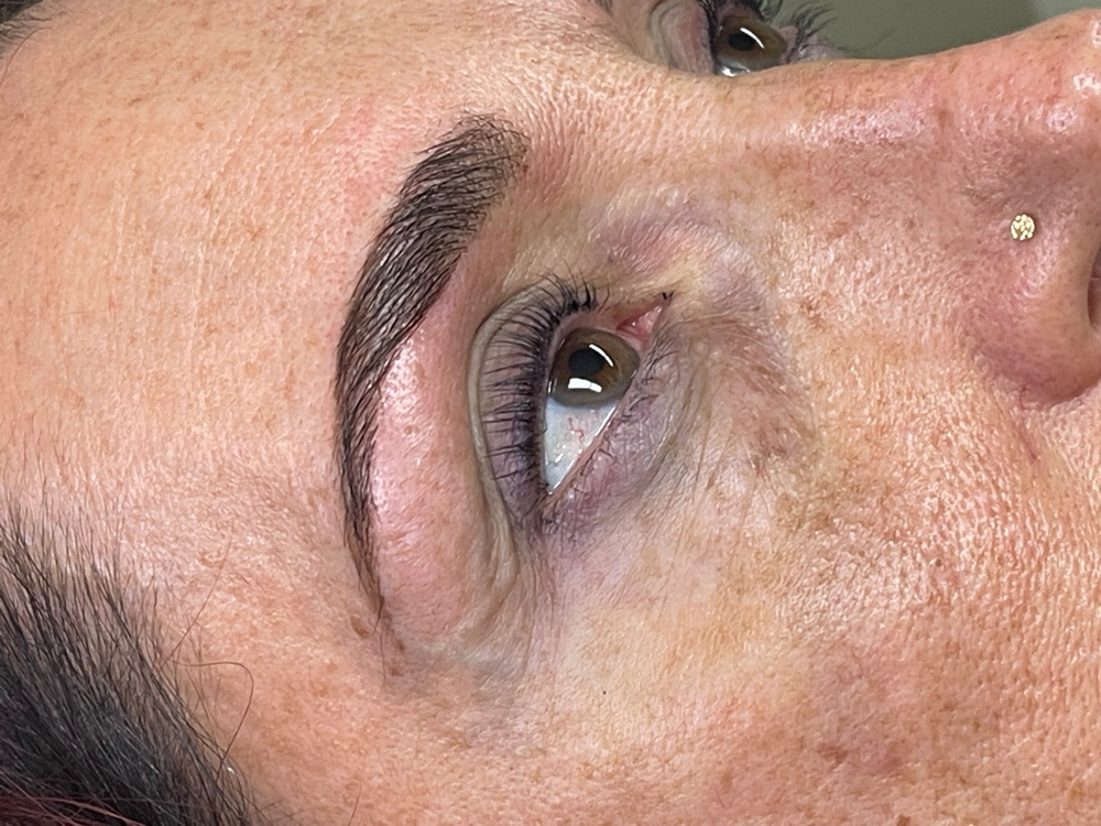 Eyebrow Lamination