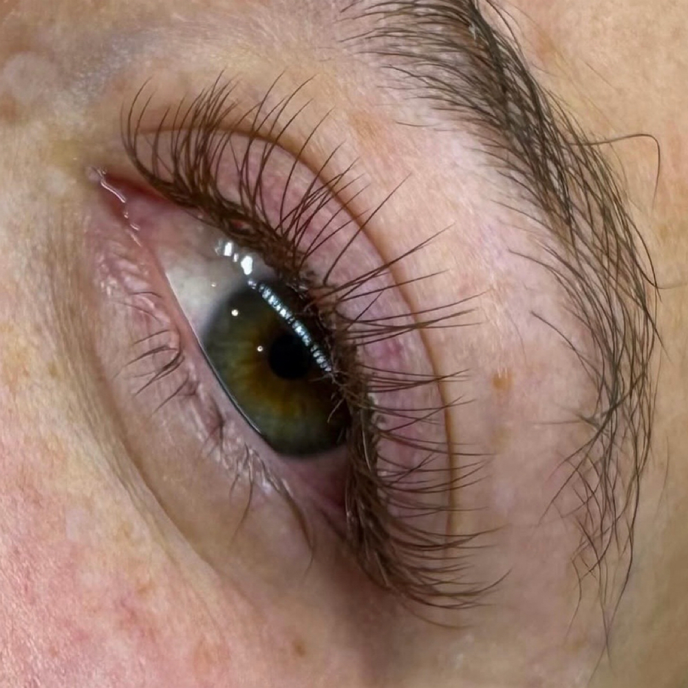 3 Week Natural Fill at Lashed Society in South Jordan, UT