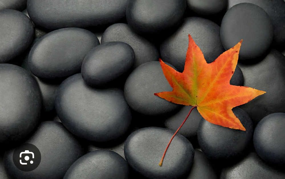 90 Min Massage Fall Special