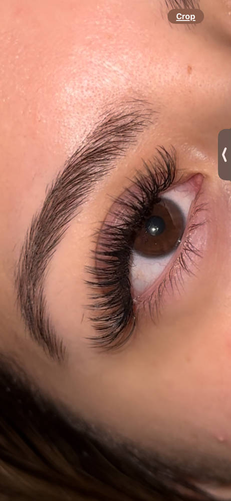 Fairy Lashes