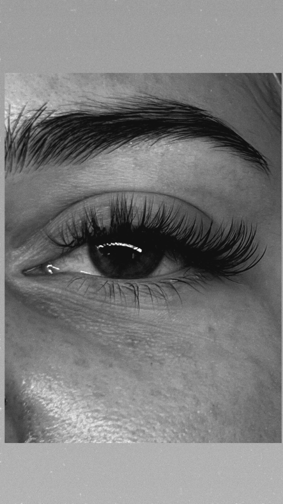 The Beauty Bar Bundle